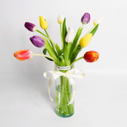 ASSORTED TULIPS (10 STEMS)